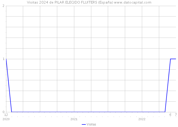 Visitas 2024 de PILAR ELEGIDO FLUITERS (España) 