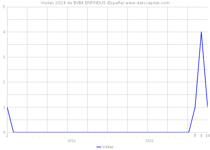 Visitas 2024 de BVBA ENFINDUS (España) 