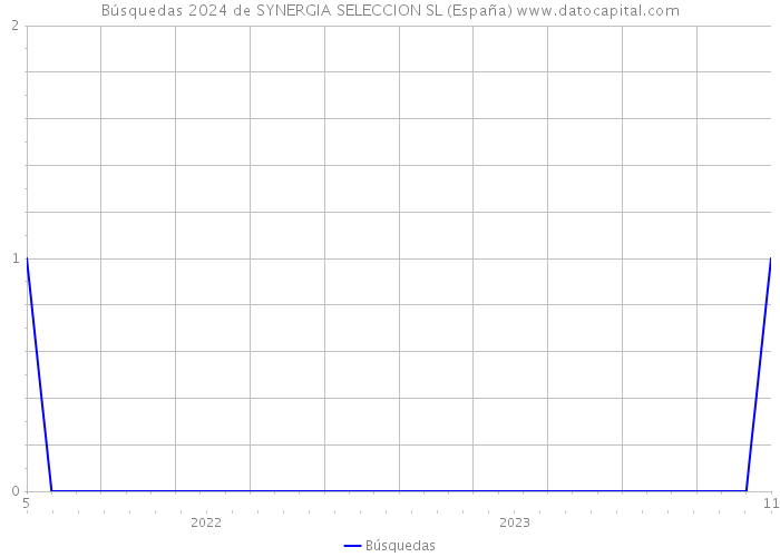 Búsquedas 2024 de SYNERGIA SELECCION SL (España) 