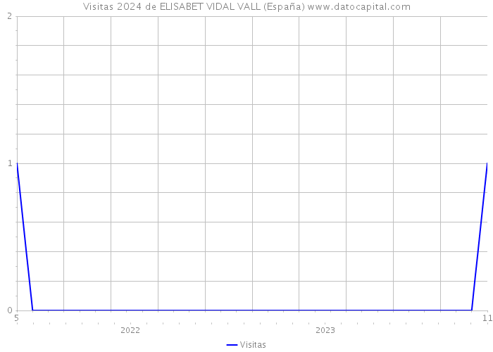Visitas 2024 de ELISABET VIDAL VALL (España) 