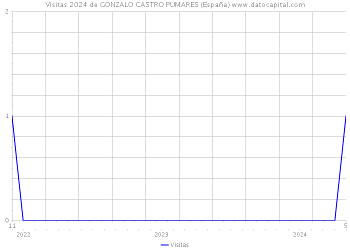 Visitas 2024 de GONZALO CASTRO PUMARES (España) 