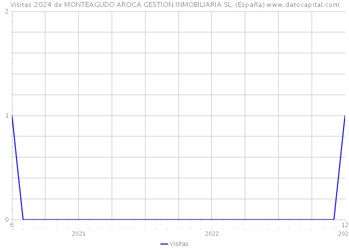 Visitas 2024 de MONTEAGUDO AROCA GESTION INMOBILIARIA SL. (España) 