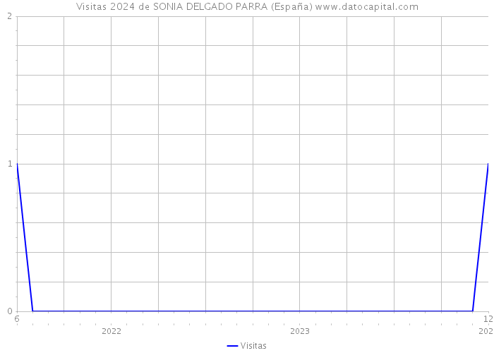 Visitas 2024 de SONIA DELGADO PARRA (España) 
