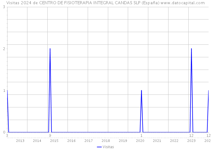 Visitas 2024 de CENTRO DE FISIOTERAPIA INTEGRAL CANDAS SLP (España) 