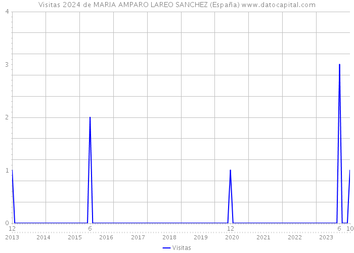 Visitas 2024 de MARIA AMPARO LAREO SANCHEZ (España) 