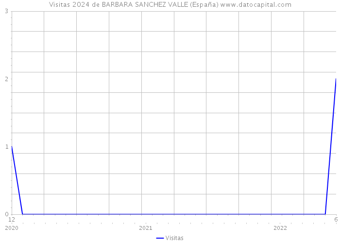 Visitas 2024 de BARBARA SANCHEZ VALLE (España) 