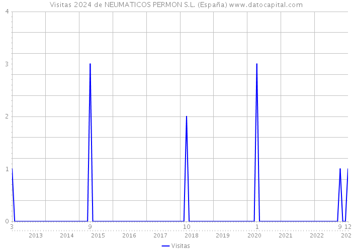 Visitas 2024 de NEUMATICOS PERMON S.L. (España) 