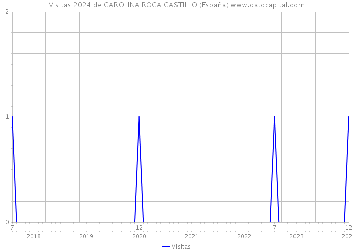 Visitas 2024 de CAROLINA ROCA CASTILLO (España) 