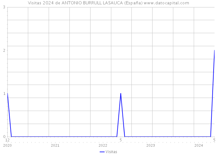 Visitas 2024 de ANTONIO BURRULL LASAUCA (España) 