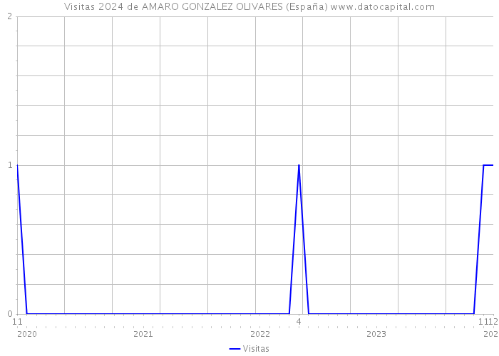 Visitas 2024 de AMARO GONZALEZ OLIVARES (España) 