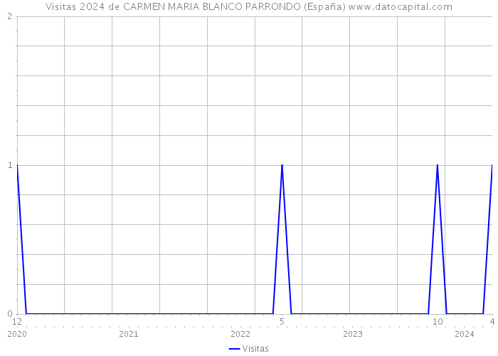 Visitas 2024 de CARMEN MARIA BLANCO PARRONDO (España) 