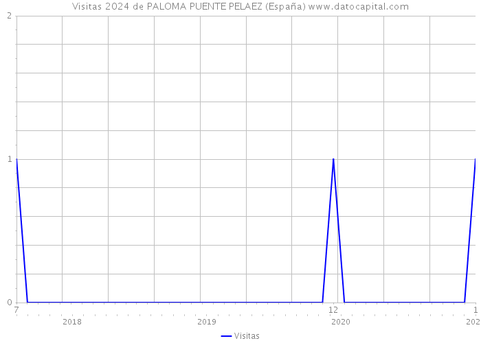 Visitas 2024 de PALOMA PUENTE PELAEZ (España) 