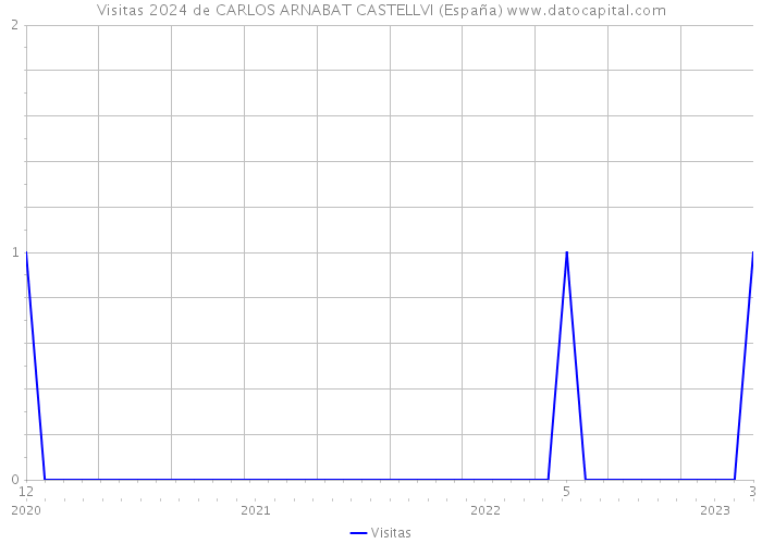 Visitas 2024 de CARLOS ARNABAT CASTELLVI (España) 
