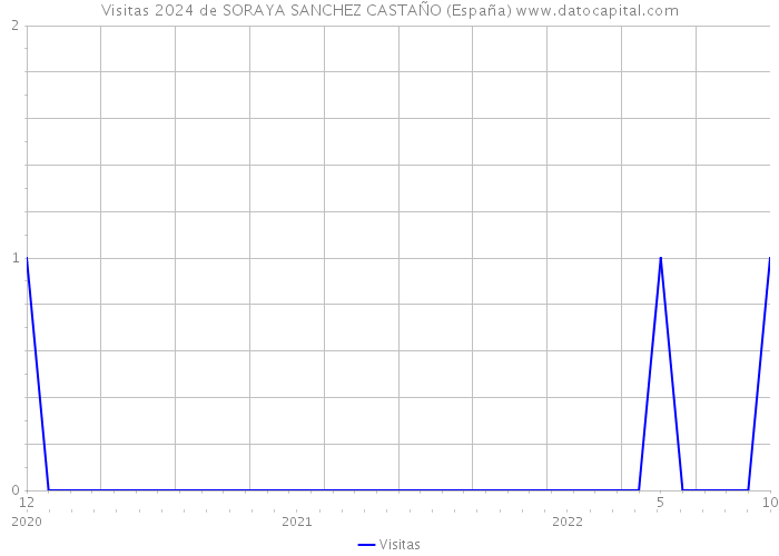 Visitas 2024 de SORAYA SANCHEZ CASTAÑO (España) 
