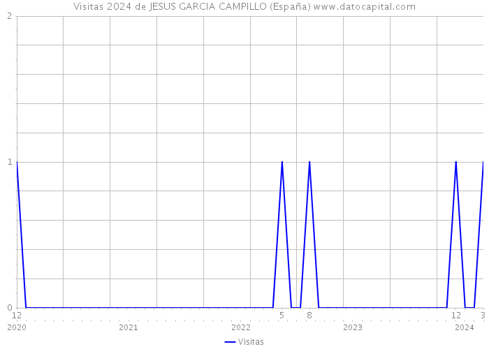 Visitas 2024 de JESUS GARCIA CAMPILLO (España) 