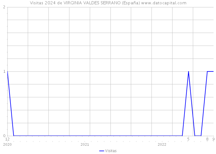 Visitas 2024 de VIRGINIA VALDES SERRANO (España) 