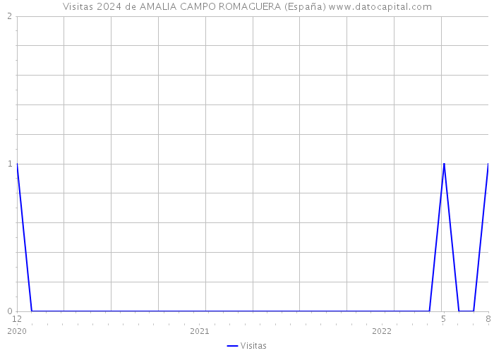 Visitas 2024 de AMALIA CAMPO ROMAGUERA (España) 