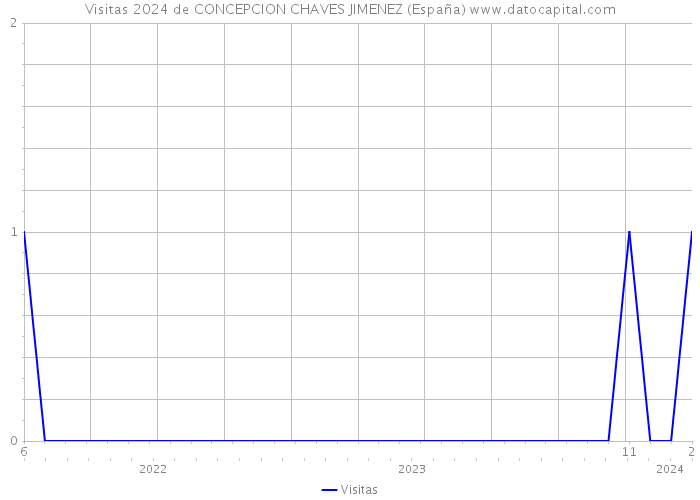 Visitas 2024 de CONCEPCION CHAVES JIMENEZ (España) 