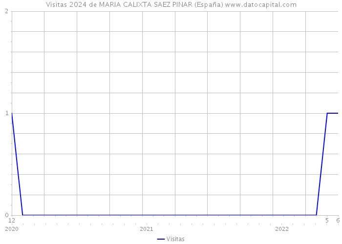 Visitas 2024 de MARIA CALIXTA SAEZ PINAR (España) 