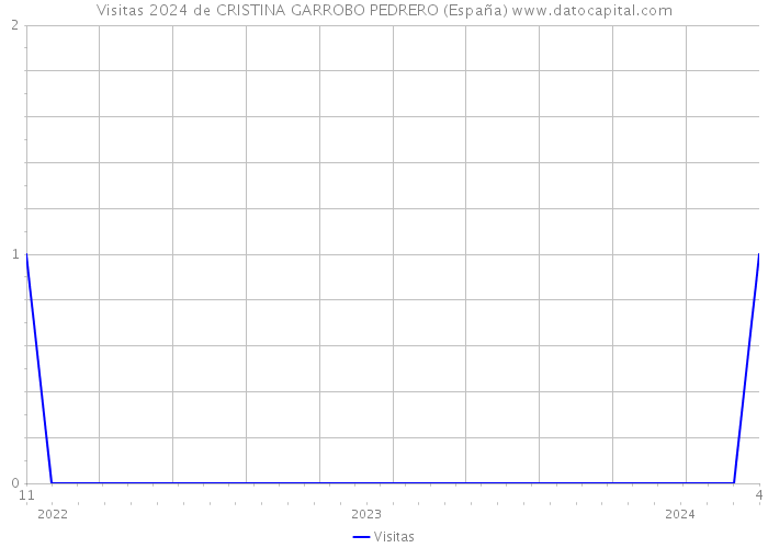 Visitas 2024 de CRISTINA GARROBO PEDRERO (España) 