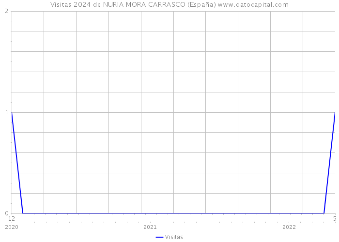 Visitas 2024 de NURIA MORA CARRASCO (España) 