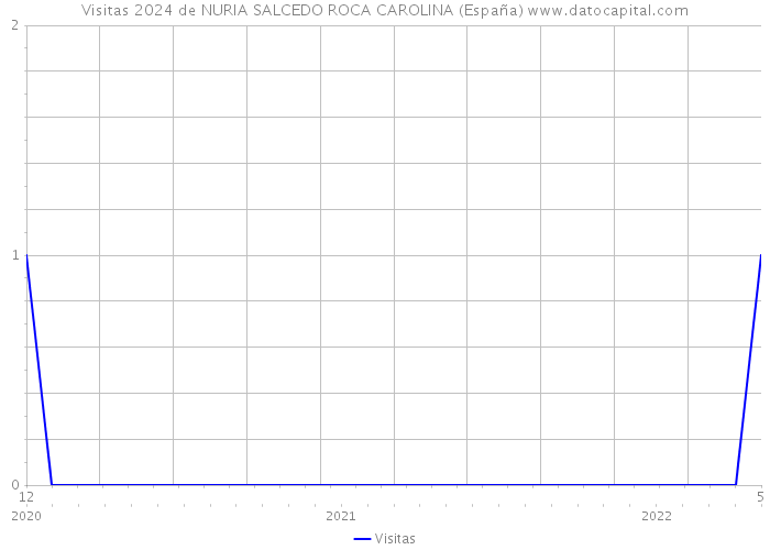 Visitas 2024 de NURIA SALCEDO ROCA CAROLINA (España) 