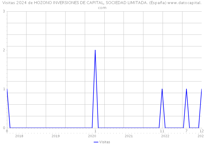 Visitas 2024 de HOZONO INVERSIONES DE CAPITAL, SOCIEDAD LIMITADA. (España) 