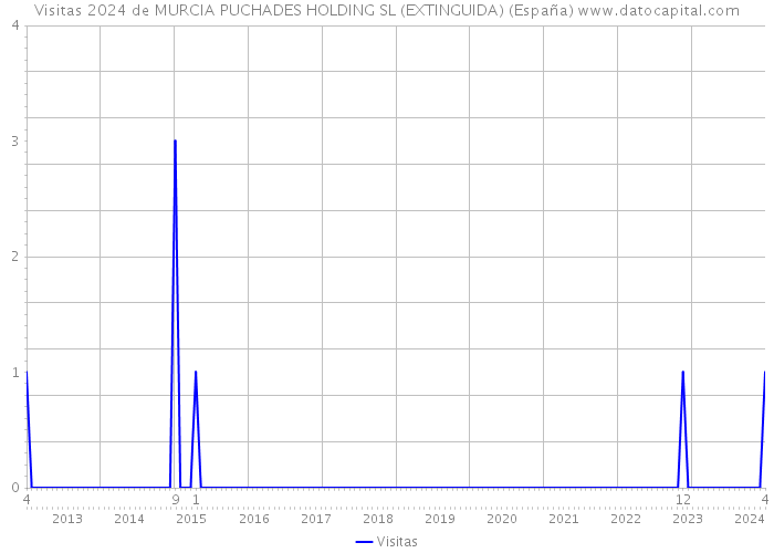 Visitas 2024 de MURCIA PUCHADES HOLDING SL (EXTINGUIDA) (España) 