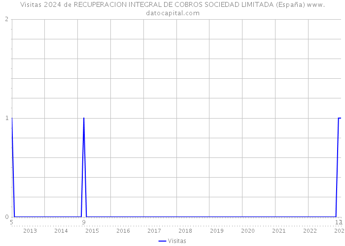 Visitas 2024 de RECUPERACION INTEGRAL DE COBROS SOCIEDAD LIMITADA (España) 