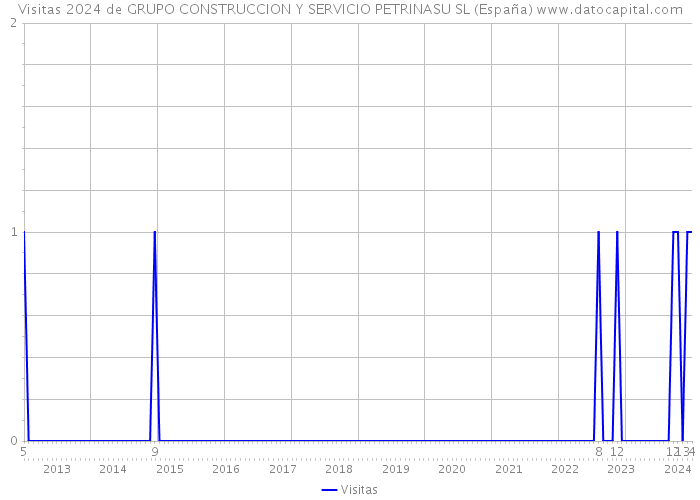 Visitas 2024 de GRUPO CONSTRUCCION Y SERVICIO PETRINASU SL (España) 