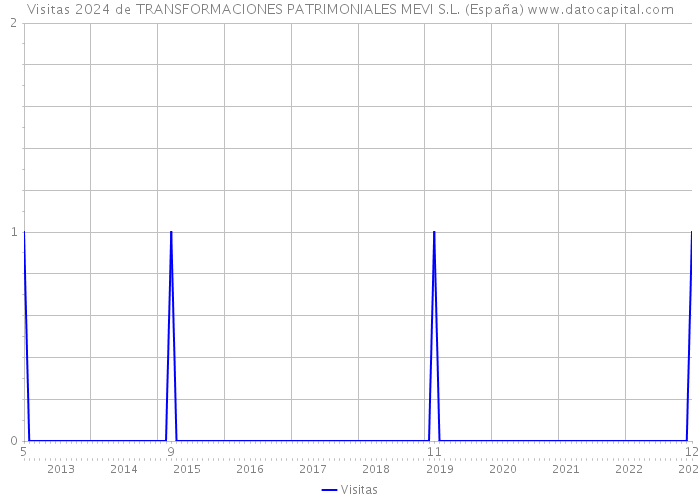 Visitas 2024 de TRANSFORMACIONES PATRIMONIALES MEVI S.L. (España) 