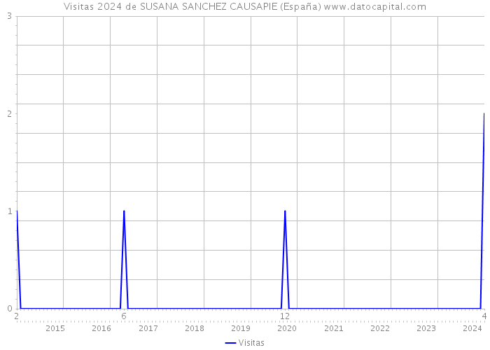 Visitas 2024 de SUSANA SANCHEZ CAUSAPIE (España) 