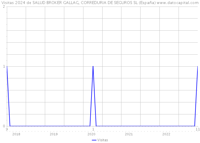 Visitas 2024 de SALUD BROKER GALLAG, CORREDURIA DE SEGUROS SL (España) 