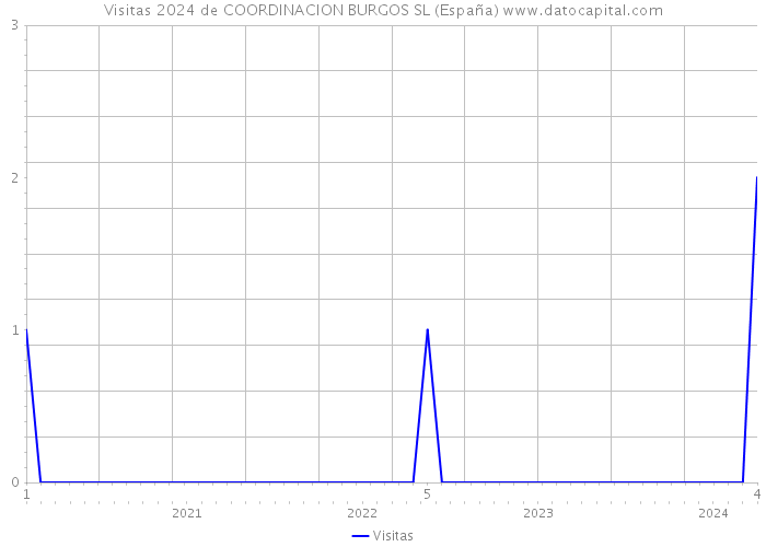 Visitas 2024 de COORDINACION BURGOS SL (España) 