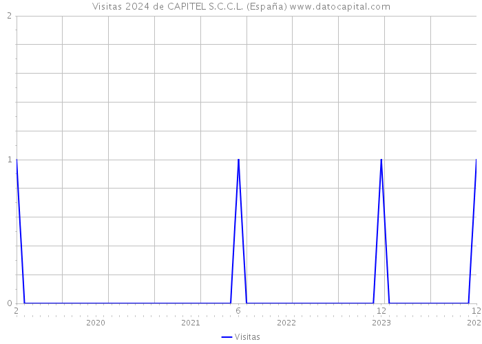 Visitas 2024 de CAPITEL S.C.C.L. (España) 