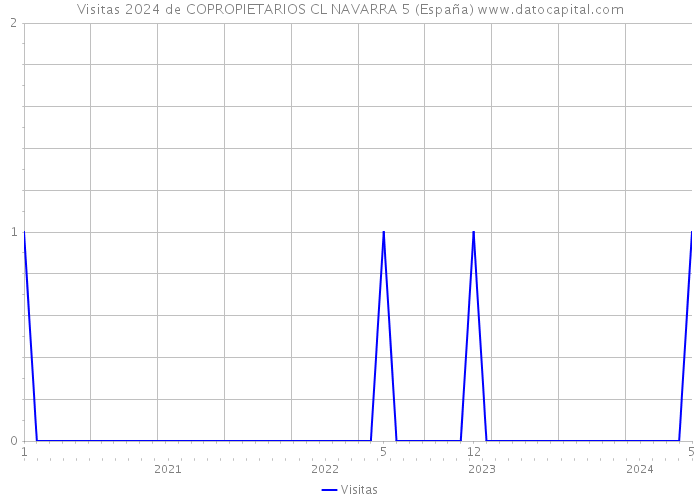 Visitas 2024 de COPROPIETARIOS CL NAVARRA 5 (España) 