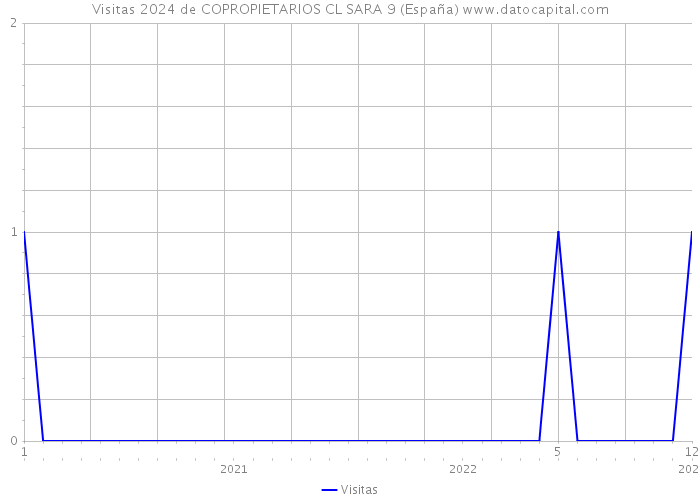 Visitas 2024 de COPROPIETARIOS CL SARA 9 (España) 