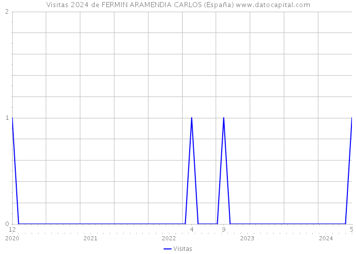 Visitas 2024 de FERMIN ARAMENDIA CARLOS (España) 