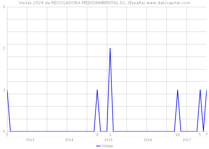 Visitas 2024 de RECICLADORA MEDIOAMBIENTAL S.L. (España) 