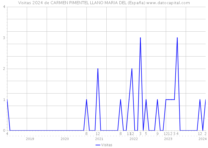 Visitas 2024 de CARMEN PIMENTEL LLANO MARIA DEL (España) 