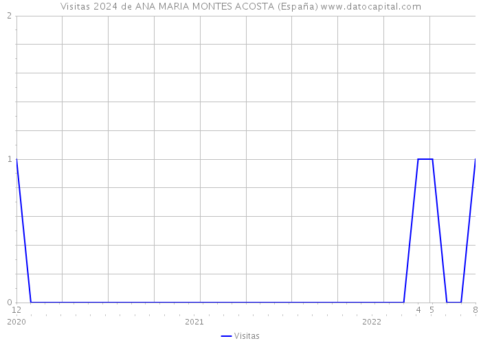 Visitas 2024 de ANA MARIA MONTES ACOSTA (España) 