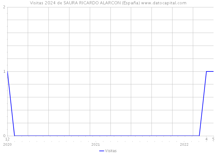 Visitas 2024 de SAURA RICARDO ALARCON (España) 