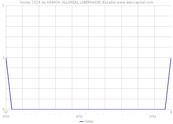 Visitas 2024 de AINHOA VILLAREAL LABERNADIE (España) 