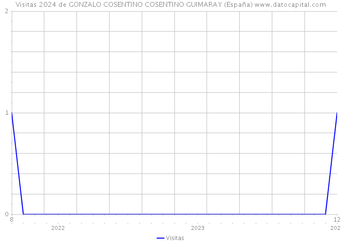 Visitas 2024 de GONZALO COSENTINO COSENTINO GUIMARAY (España) 