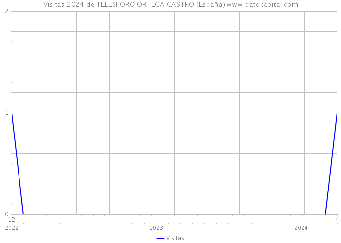 Visitas 2024 de TELESFORO ORTEGA CASTRO (España) 