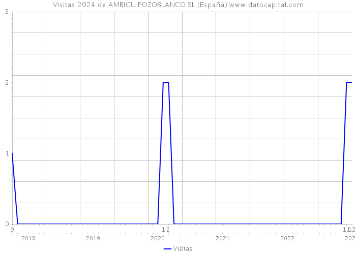 Visitas 2024 de AMBIGU POZOBLANCO SL (España) 