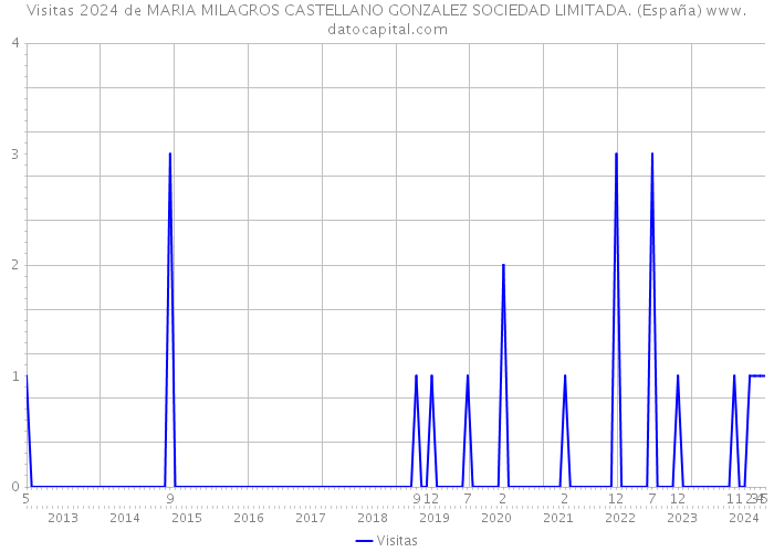 Visitas 2024 de MARIA MILAGROS CASTELLANO GONZALEZ SOCIEDAD LIMITADA. (España) 
