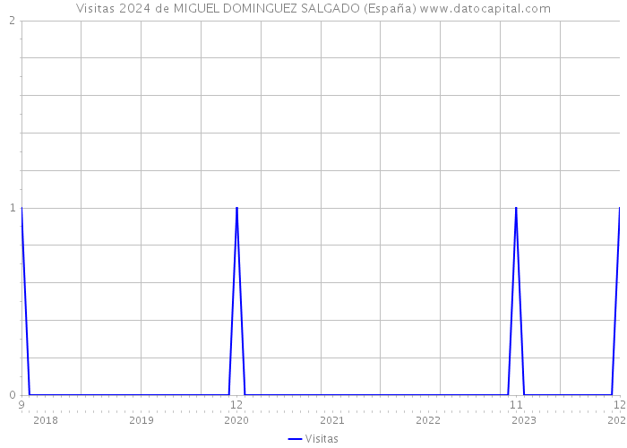 Visitas 2024 de MIGUEL DOMINGUEZ SALGADO (España) 