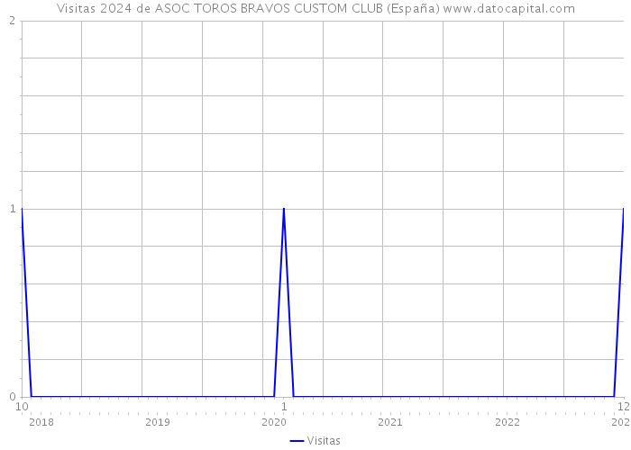 Visitas 2024 de ASOC TOROS BRAVOS CUSTOM CLUB (España) 