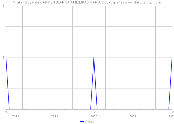 Visitas 2024 de CARMEN BLANCA AMEJEIRAS MARIA DEL (España) 